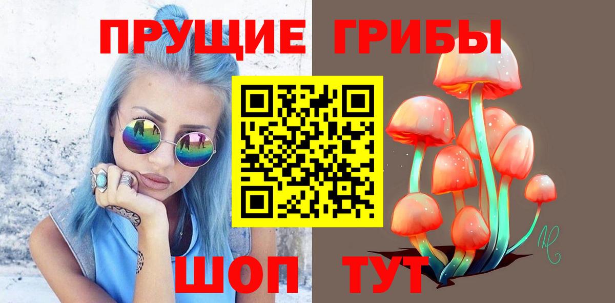 Псилоцибиновые грибы GOLDEN TEACHER Лосино-Петровский
